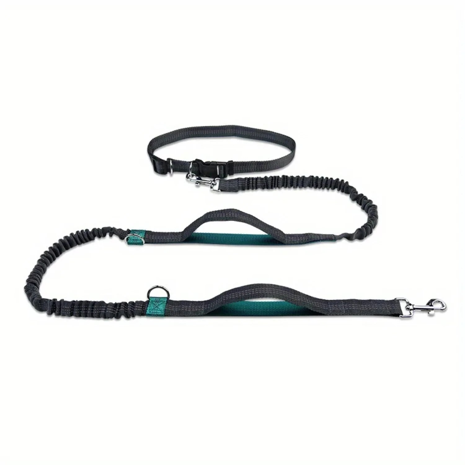 Dog Running Leash