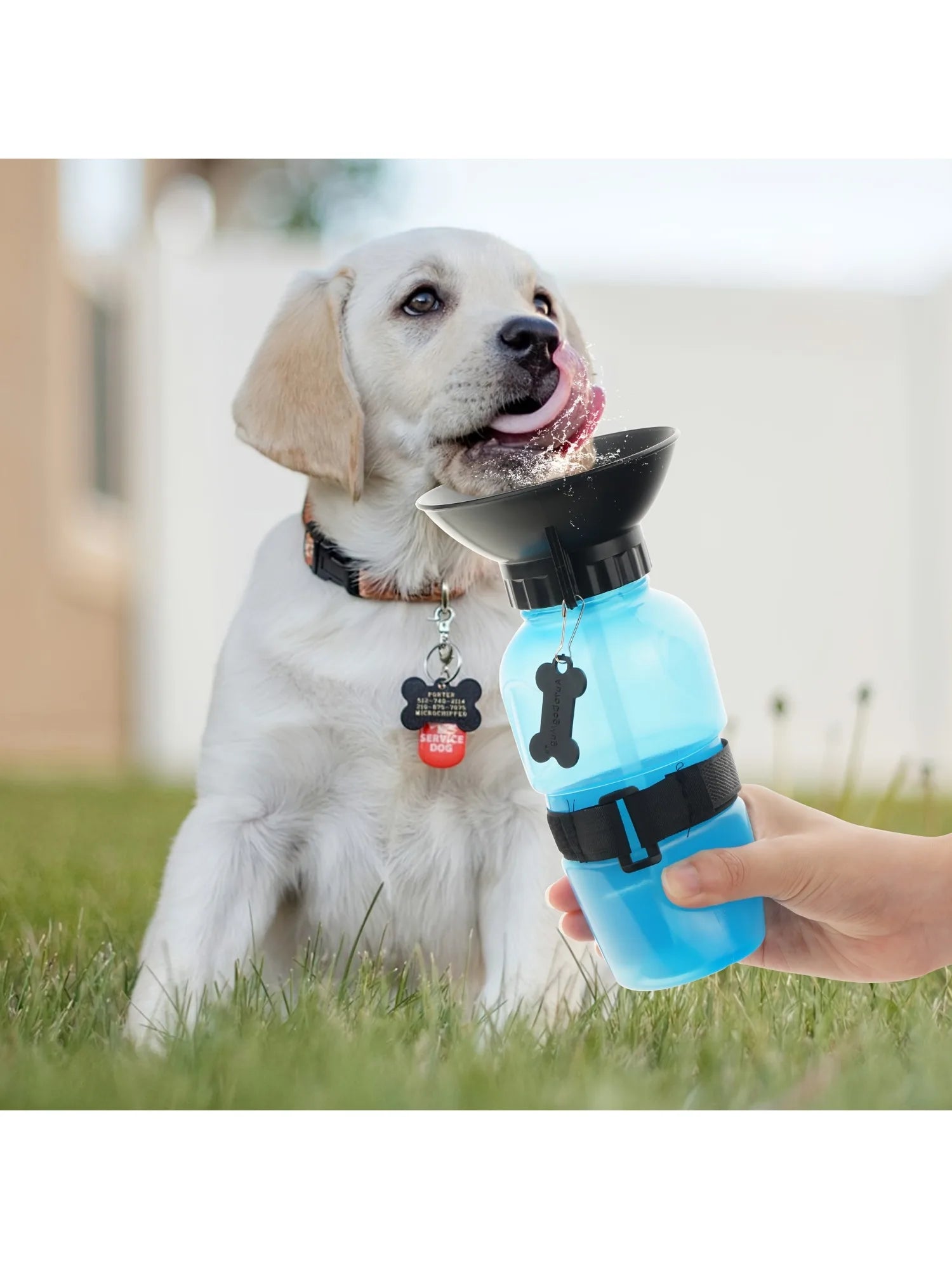 Dog Water Bottle