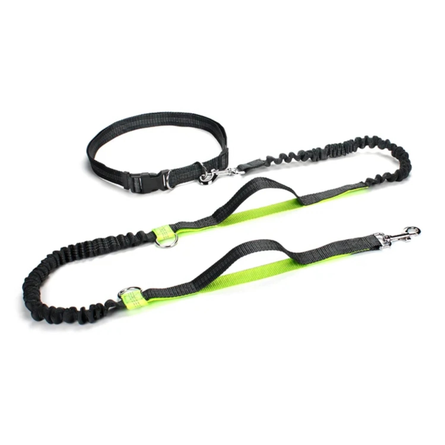 Dog Running Leash