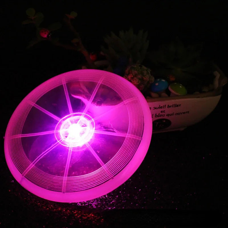 LED Dog Flying Disk