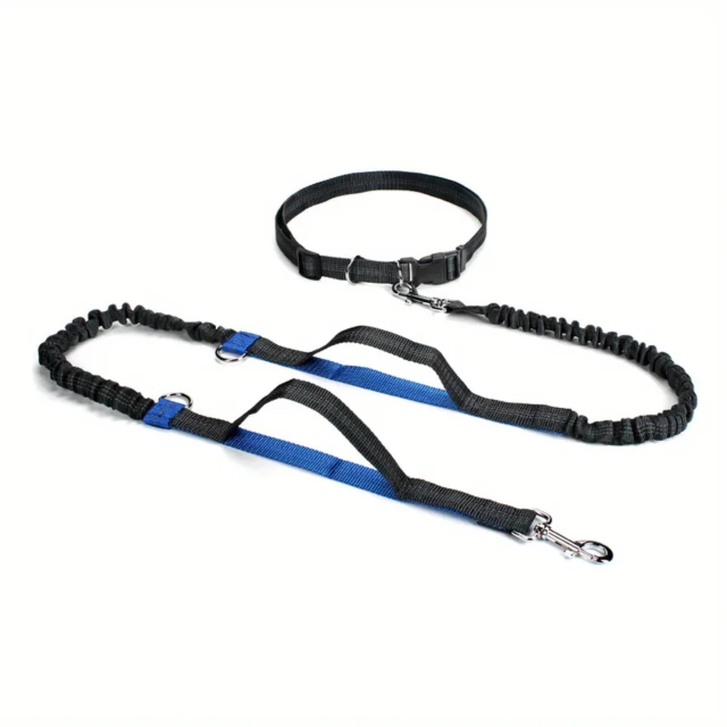 Dog Running Leash