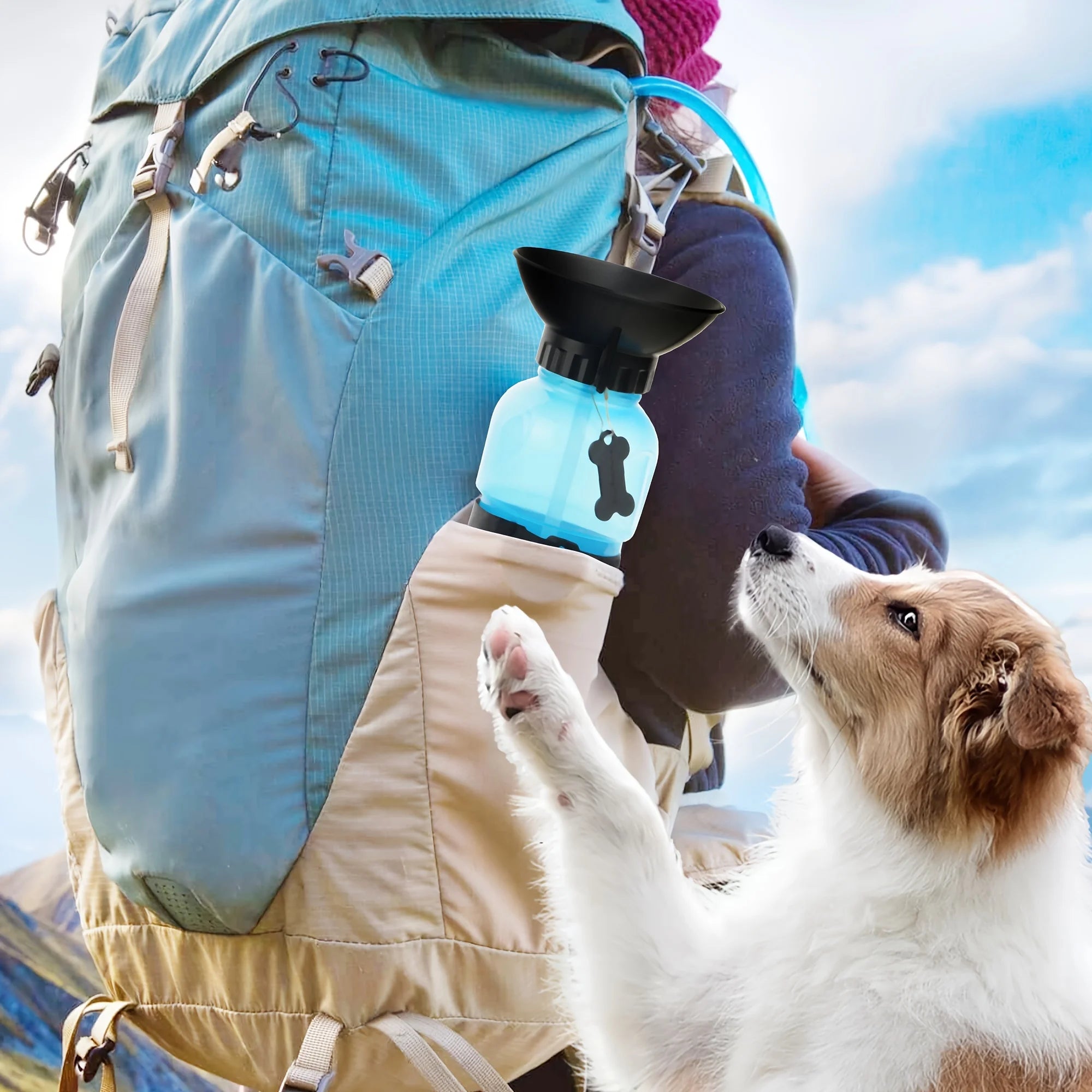 Dog Water Bottle