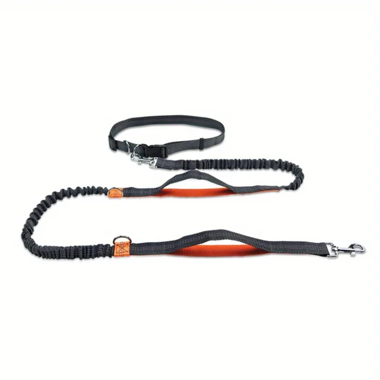 Dog Running Leash